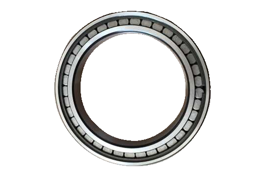 Single Row Full Complement Cylindrical Roller Bearing