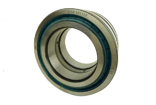 Double Row Full Complement Cylindrical Roller Bearing