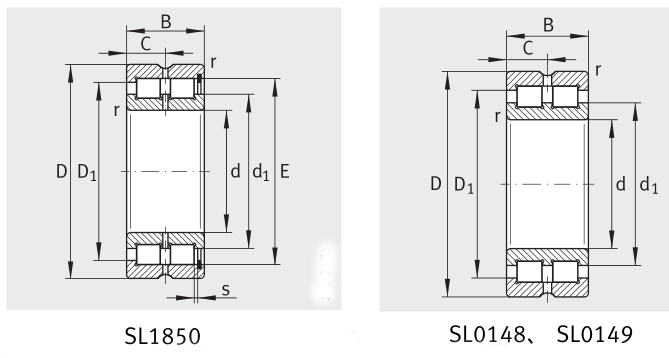 Double Row Full Complement Cylindrical Roller Bearing