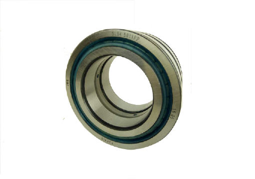 Cylindrical Roller Bearing, Double Row SL045011-PP